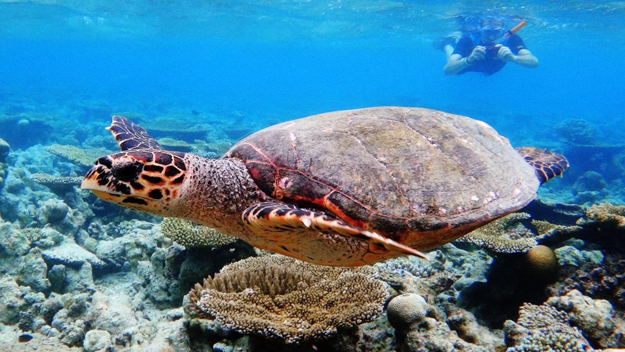 Dharavandhoo Stay Esterno foto