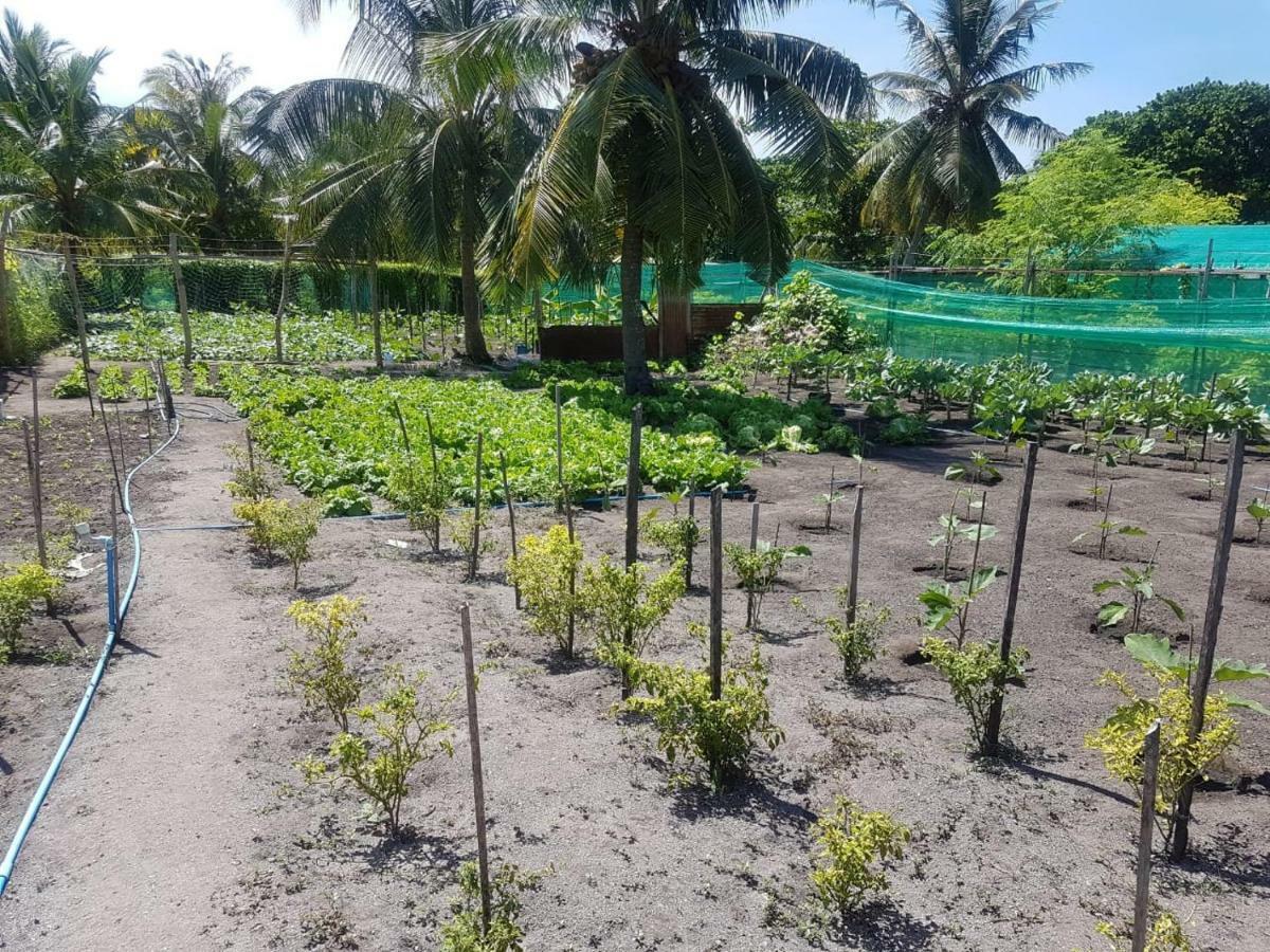 Dharavandhoo Stay Esterno foto